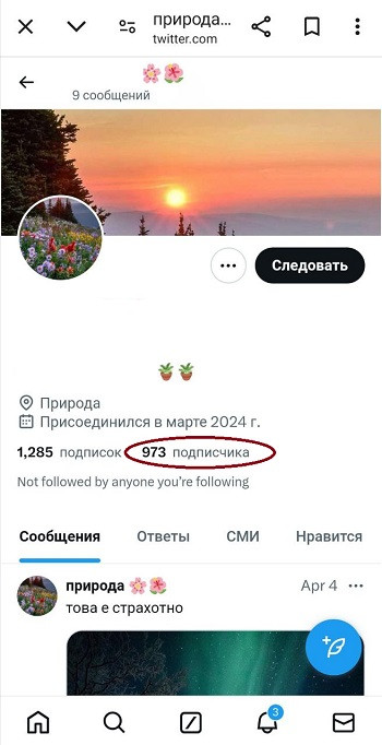 1000 twitter подписчиков