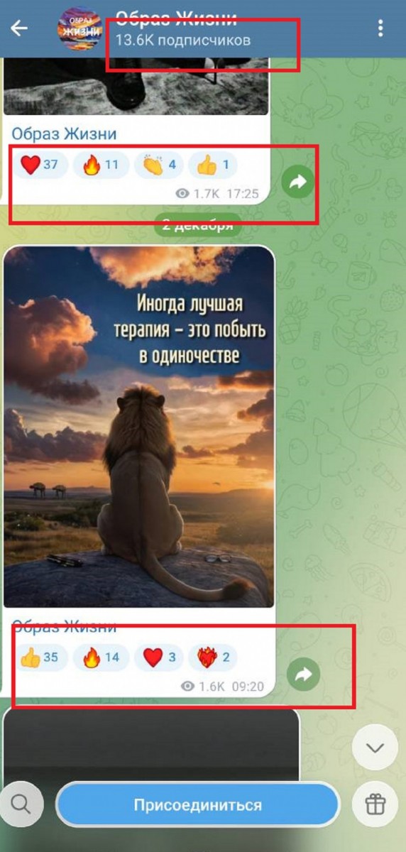 купить живых подписчиков в тг канал купить живых подписчиков в тг канал