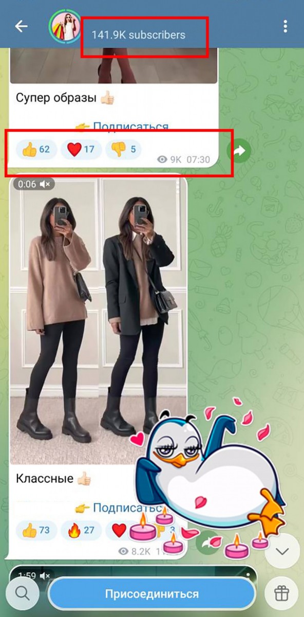 купить пиар тг канала