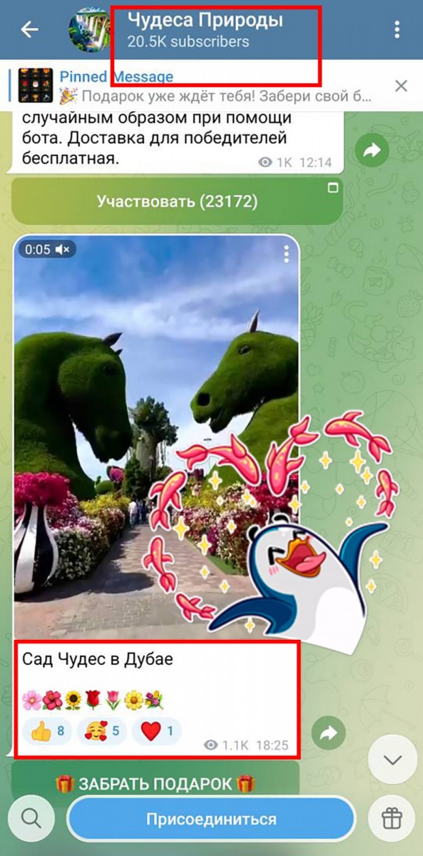 купить рекламу тгк