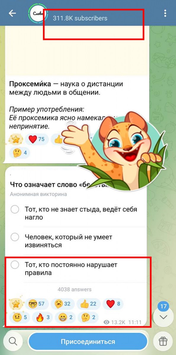 как продвигать тг канал