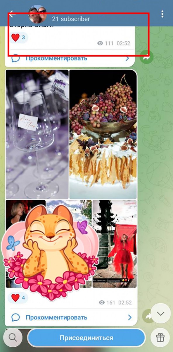 продвижение телеграм канала