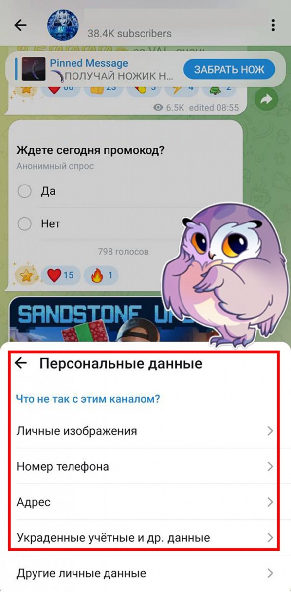 купить жалобы телеграмм