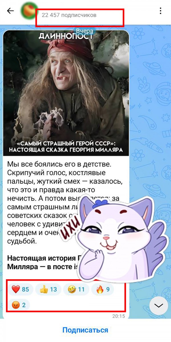 купить живых подписчиков макс