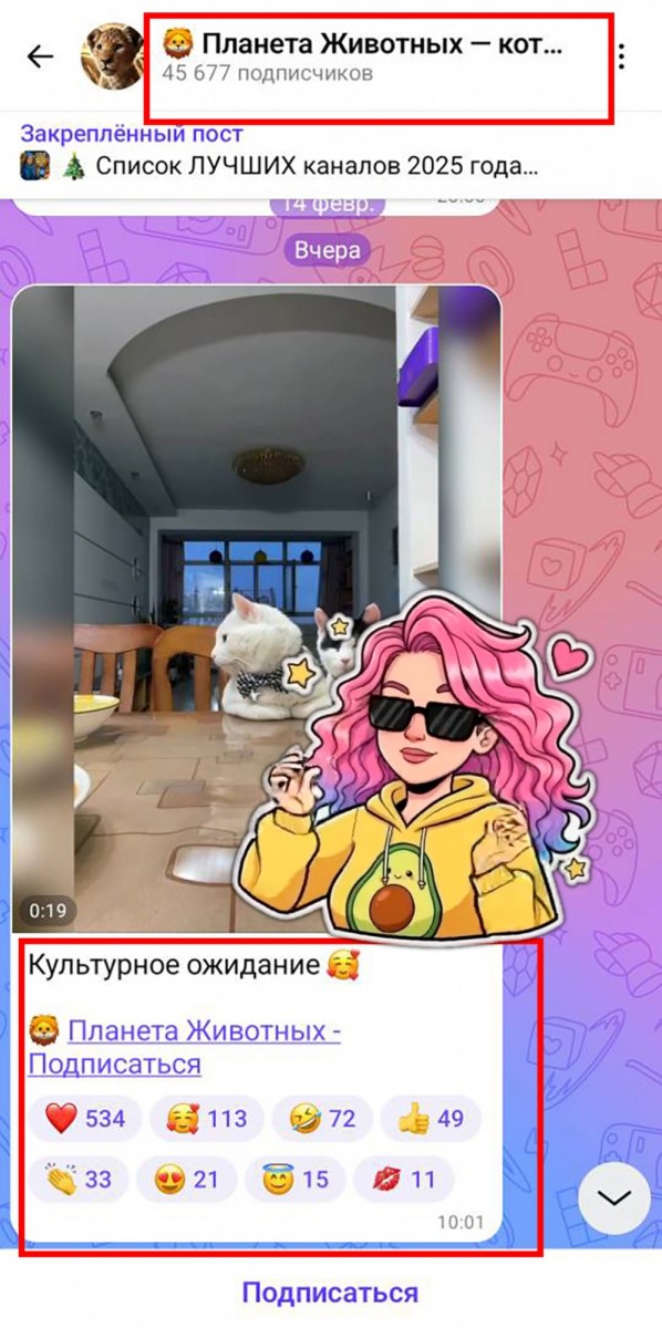 покупка реакций в макс