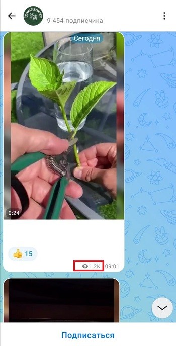 как сделать просмотры в макс