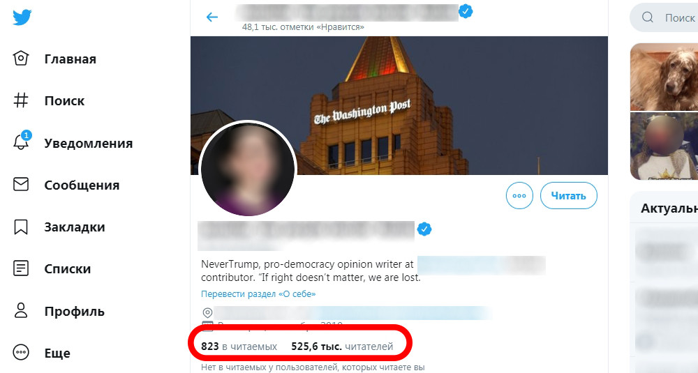 Купить подписчиков Twitter с гарантией Купить подписчиков Twitter с гарантией