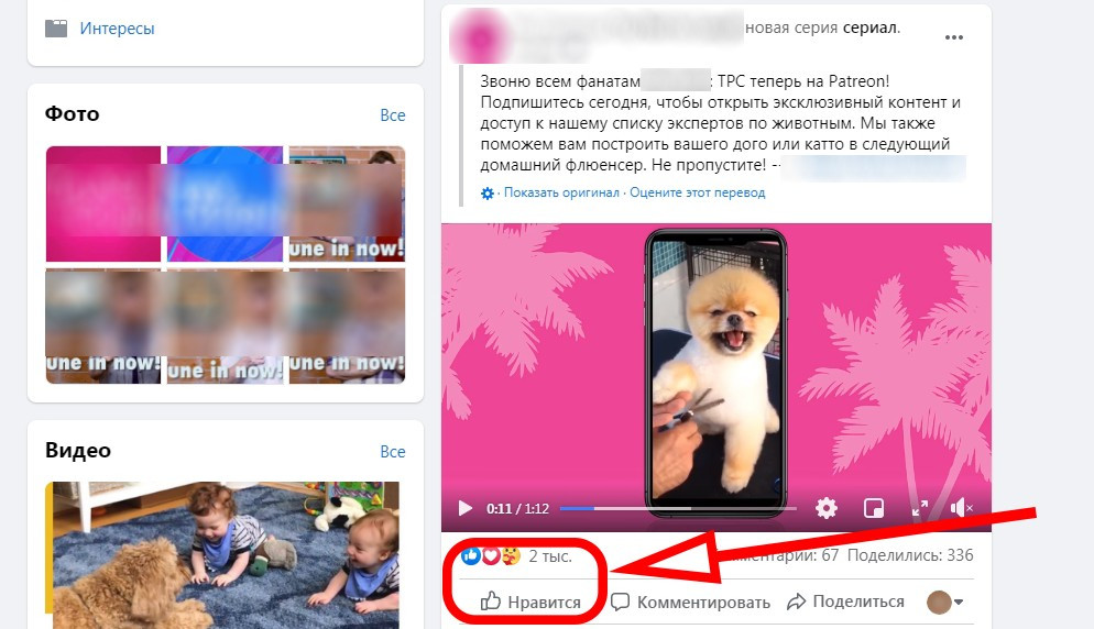 Купить лайки Facebook с гарантией Купить лайки Facebook с гарантией